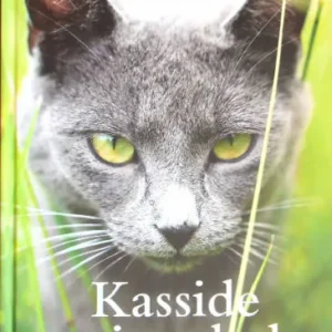varjatud kass